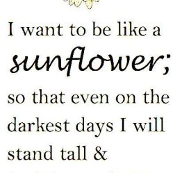 i want to be a sunflower